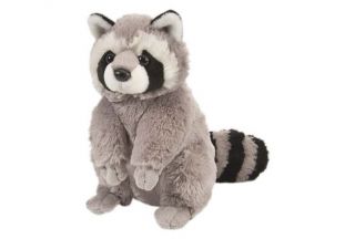 Cuddlekins 12" Plush - Raccoon