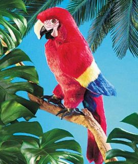 Folkmanis Puppet - Scarlet Macaw