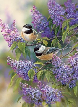 Cobble Hill 1000 pcs Puzzle - Chickadees and Lilacs