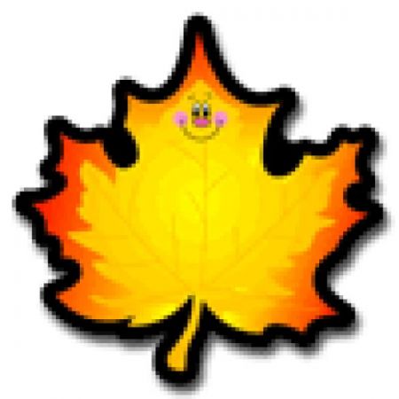 Colourful Cut-Outs / Single Design - Maple Leaves