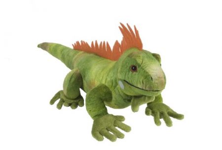 Cuddlekins 12" Plush - Iguana