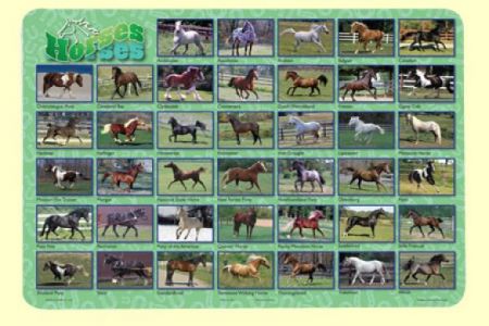 Painless Learning Placemat - Horses