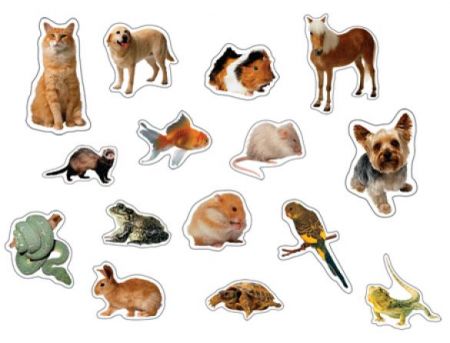 Shape Stickers - Pets #CD168011