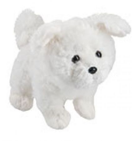 maltese puppy webkinz