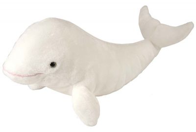 Cuddlekins 12" Plush - Beluga Whale - My Gifted Child